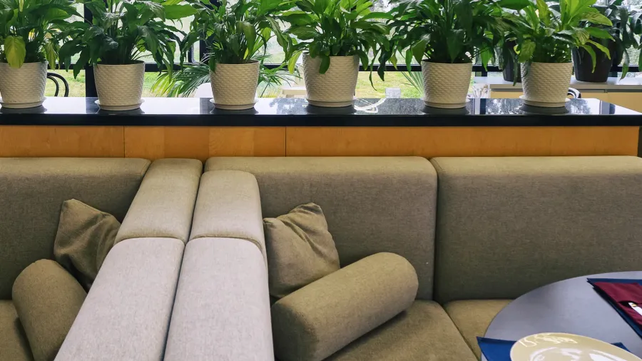 a stand with a large number of indoor plants next