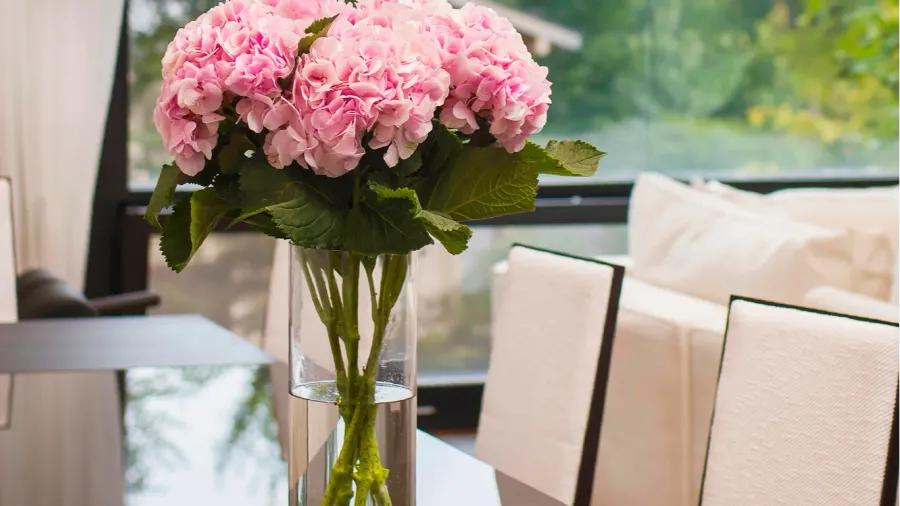 a stunning arrangement of pink hydrangeas in a clear glass