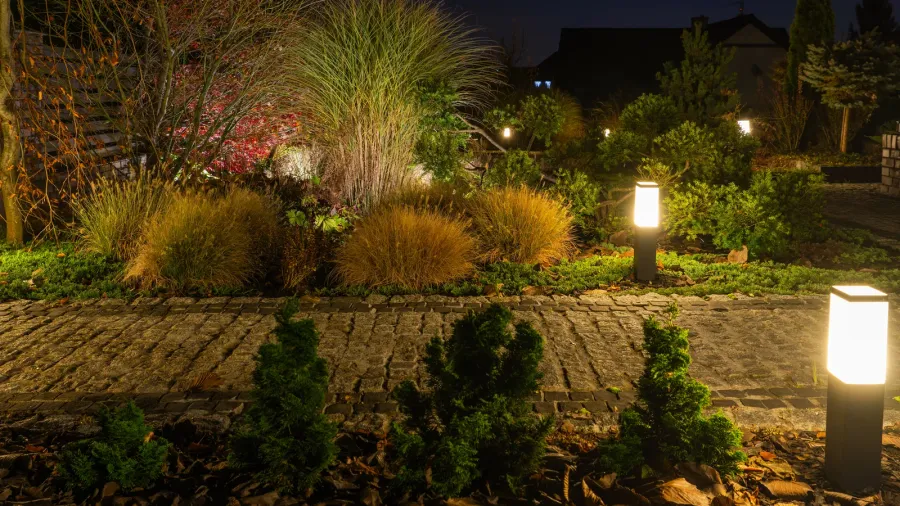 a tranquil garden comes alive at night with glowing lights