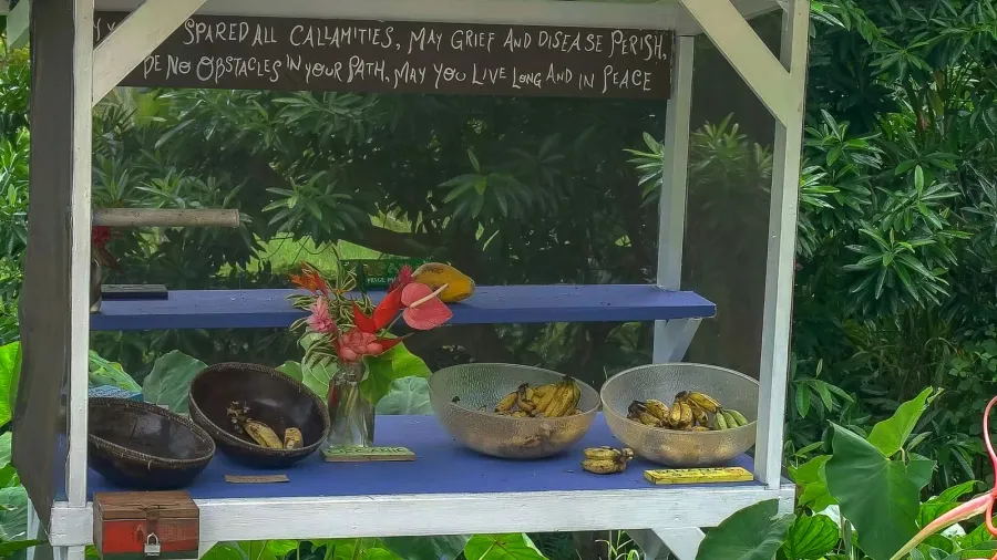 a variety of freshly cut flowers and fruit for sale