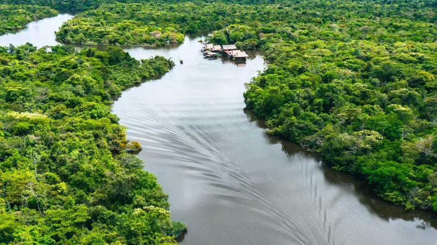 aerial view of amazon rainforest in peru south america green
