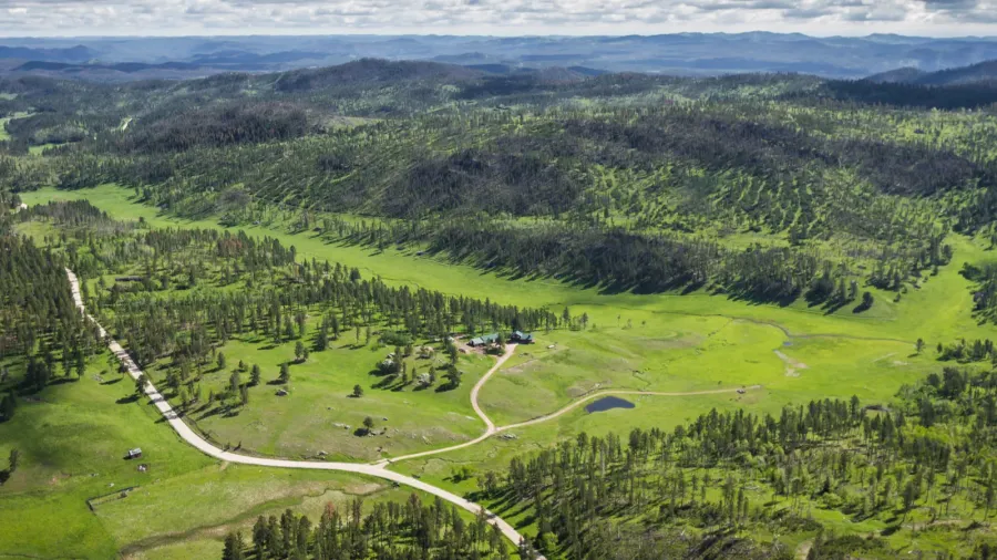 aerial view of the black hills
