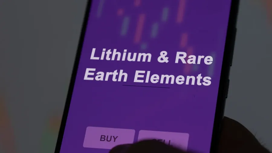 an investor analyzing the lithium  rare earth elements etf