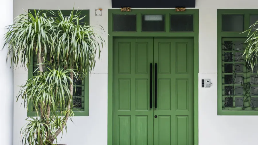 A freshly painted green front door with white walls and green window frames.