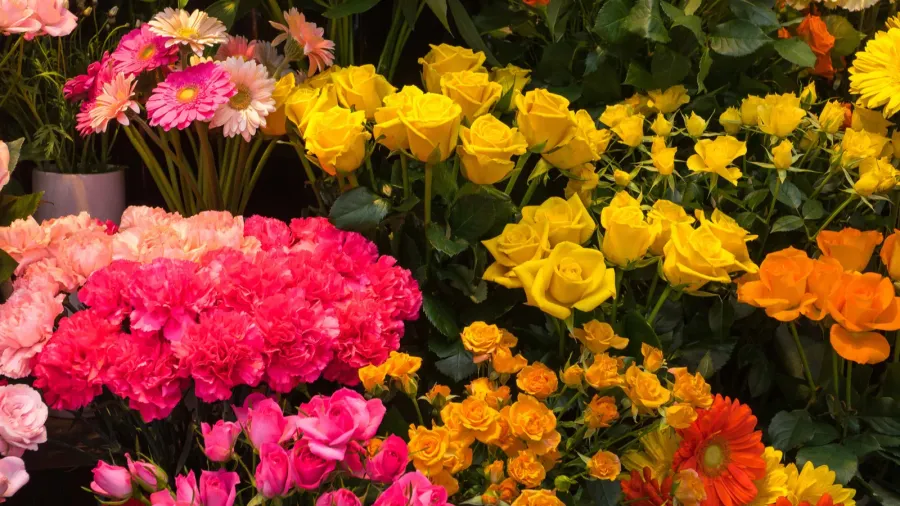 assorted fresh flowers florist shop tokyo japan
