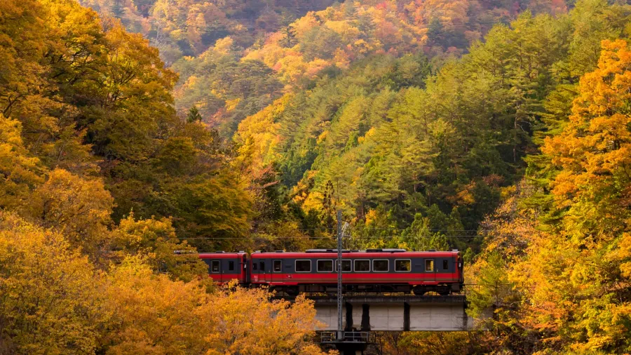 autumn fall foliage with red train commuter in fukushima japan