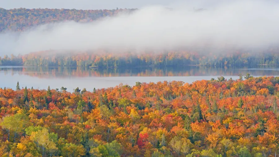 autumn forest and lake medora