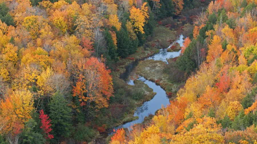 Porcupine Mountains Wilderness State Park, Michigan's Upper Peninsula, USA
