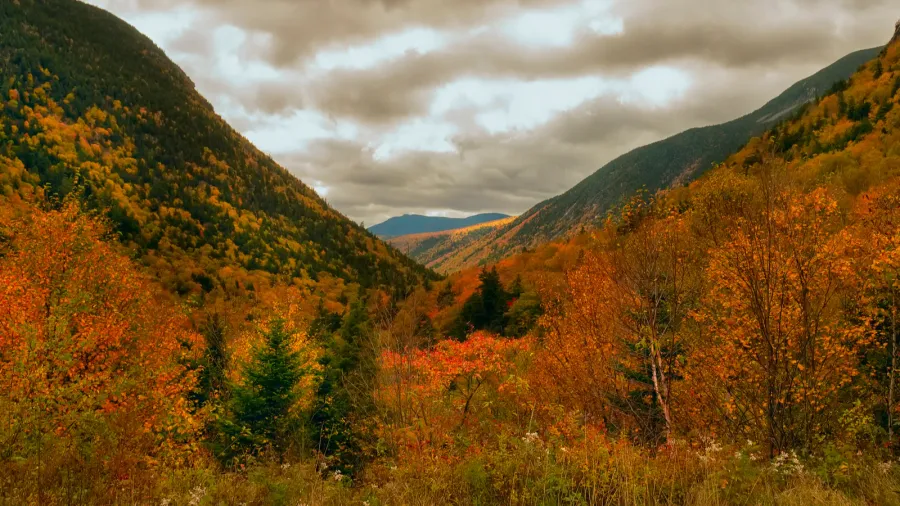 autumn mountain landscape mountains in colorful autumn trees