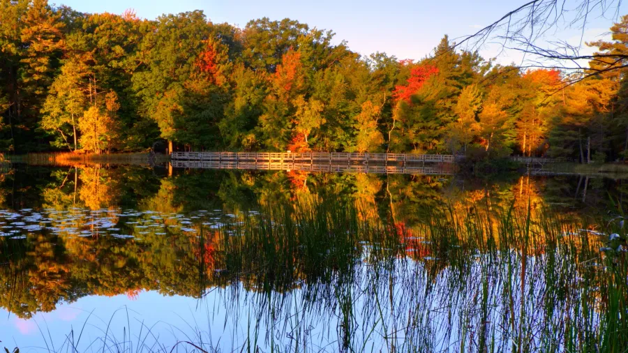 autumn reflections