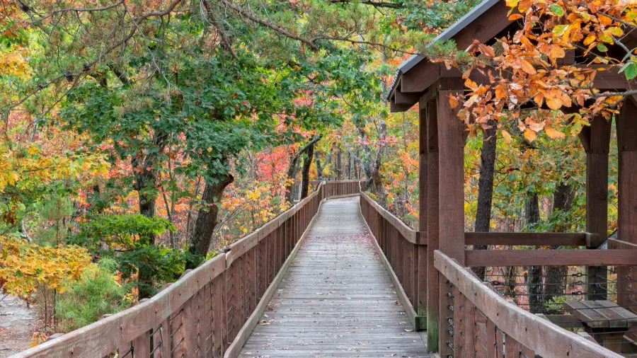 balld rock overlook walkway