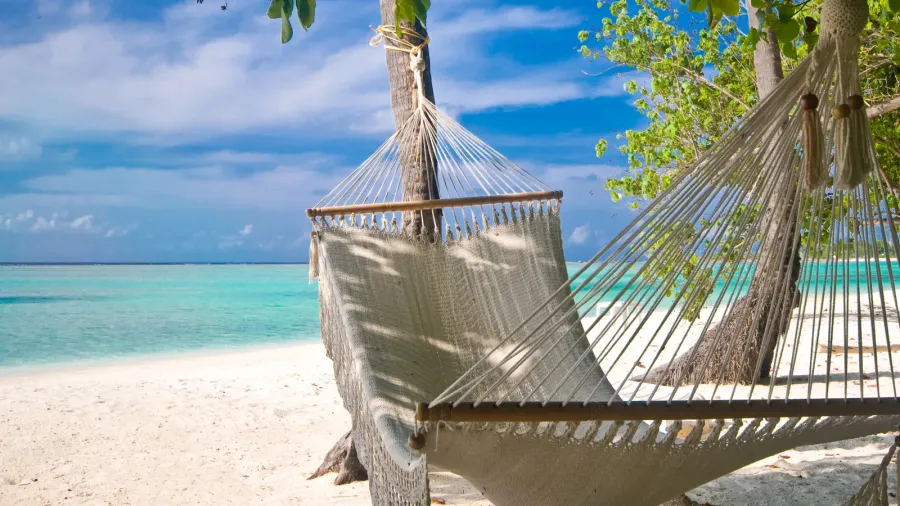 beach hammock