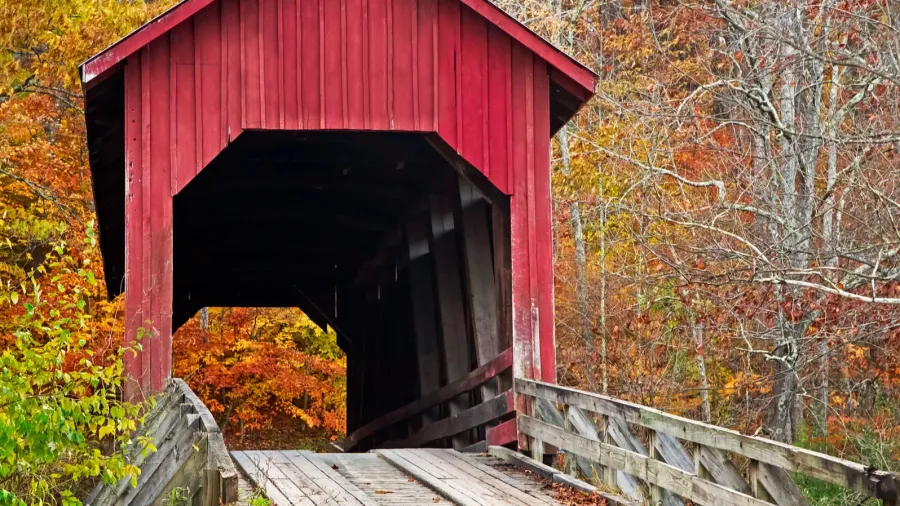 bean blossom covered bridge in fall