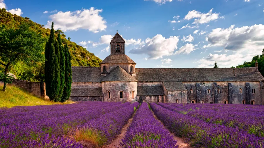 beautiful abbey view