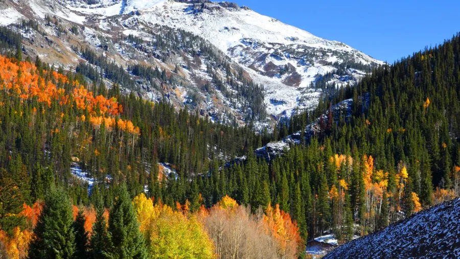 beautiful autumn scene