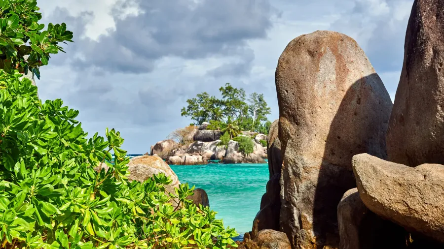 beautiful beach with palm tree and rocks landscape at seychelles