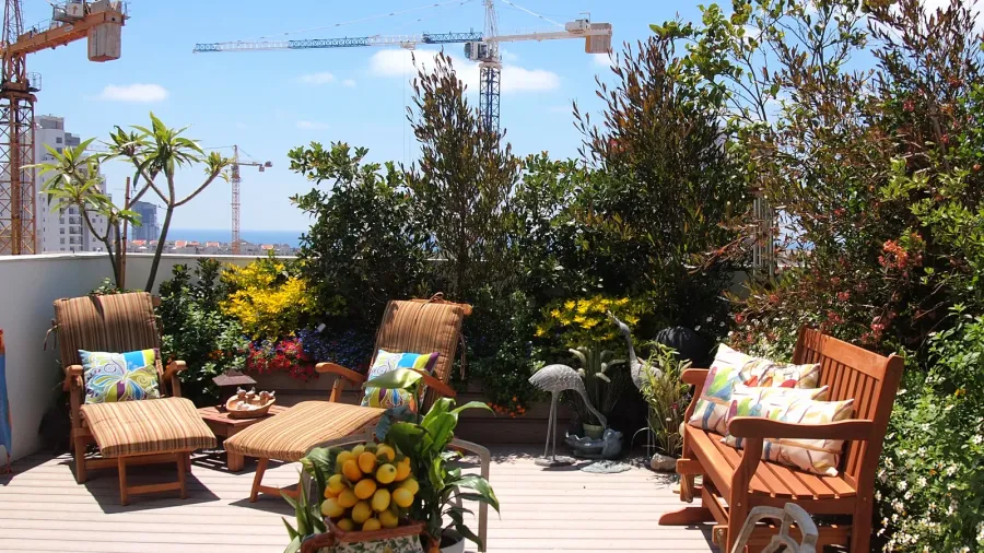 beautiful blooming rooftop garden in city setting