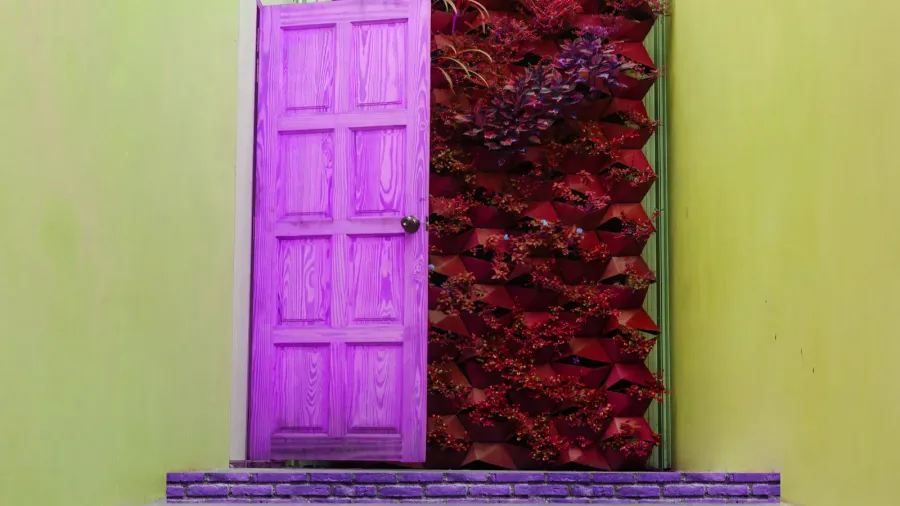 beautiful hidden painted peeling door to home