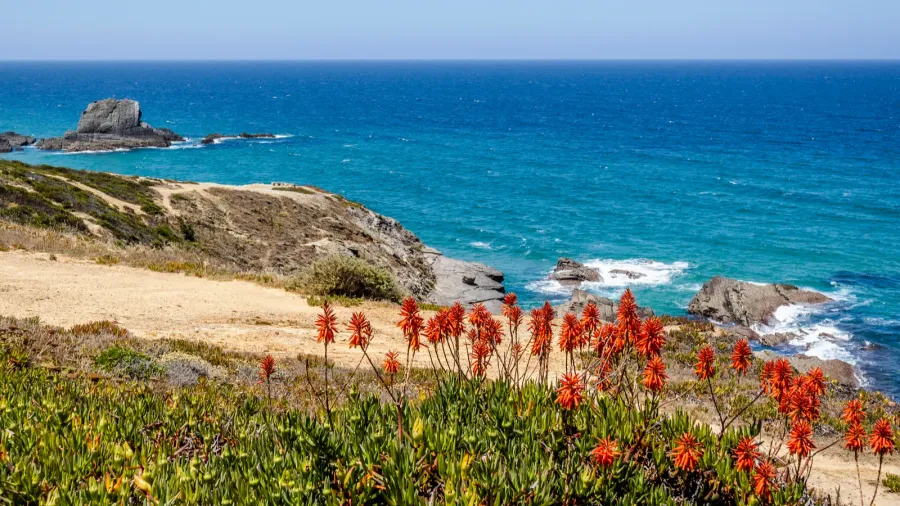 beautiful landscape and seascape in zambujeira do mar vicentina coast