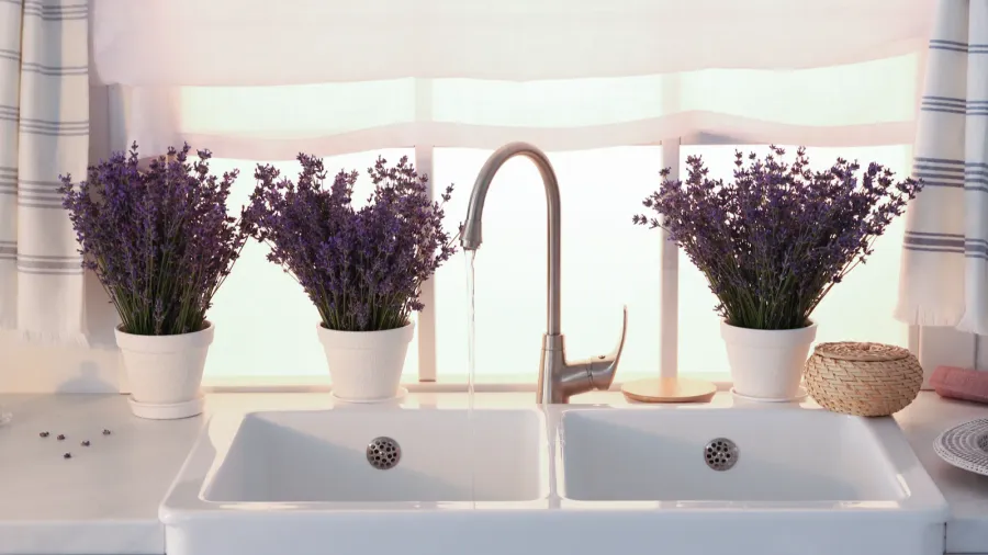 beautiful lavender flowers on countertop near sink in kitchen
