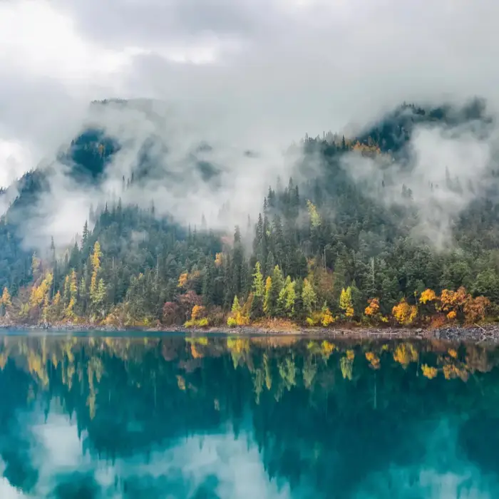 Fog aesthetic goes viral and travelers follow