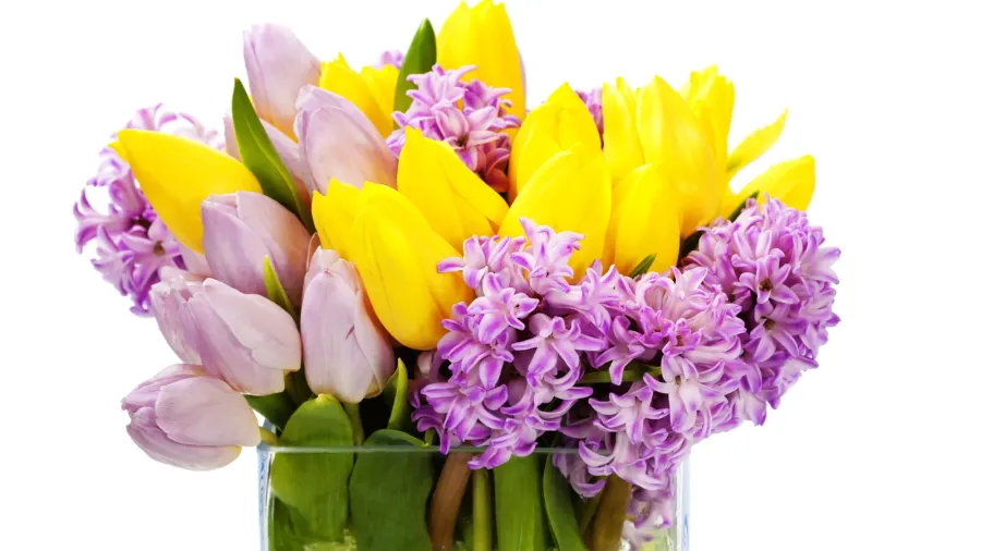 beautiful spring flowers