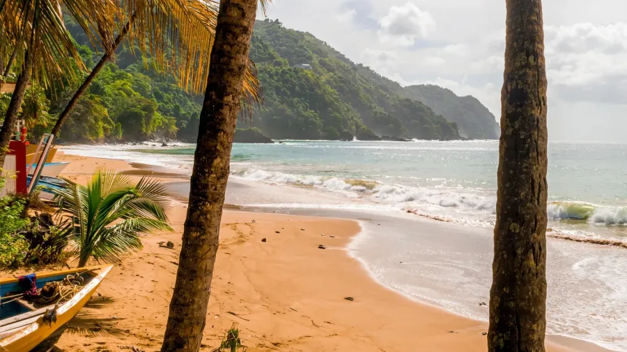 beautiful tropical barbados island view of the golden beach with