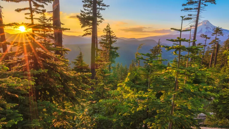 beautiful vista of mount hood in oregon usa
