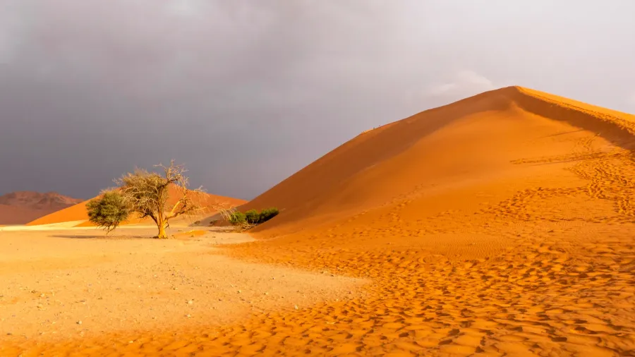 big daddy dune and deadvlei namibia towering red dune