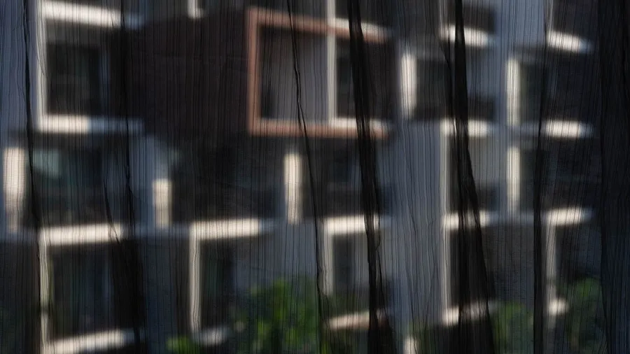 Black sheer curtains on a window with plants and a black wall with shelves in the background.