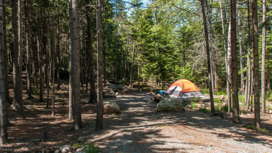 blackwoods campground in acadia national park in maine united states