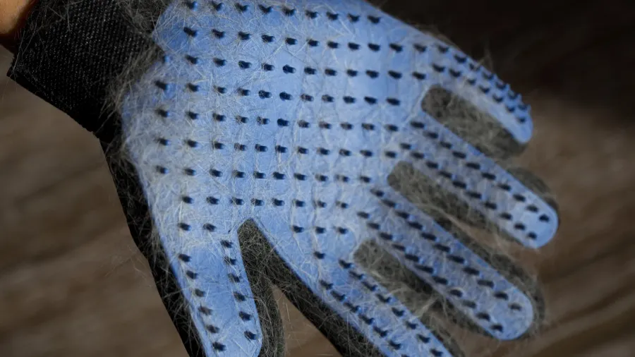 blue glove with cat or dog hair on the hardwood
