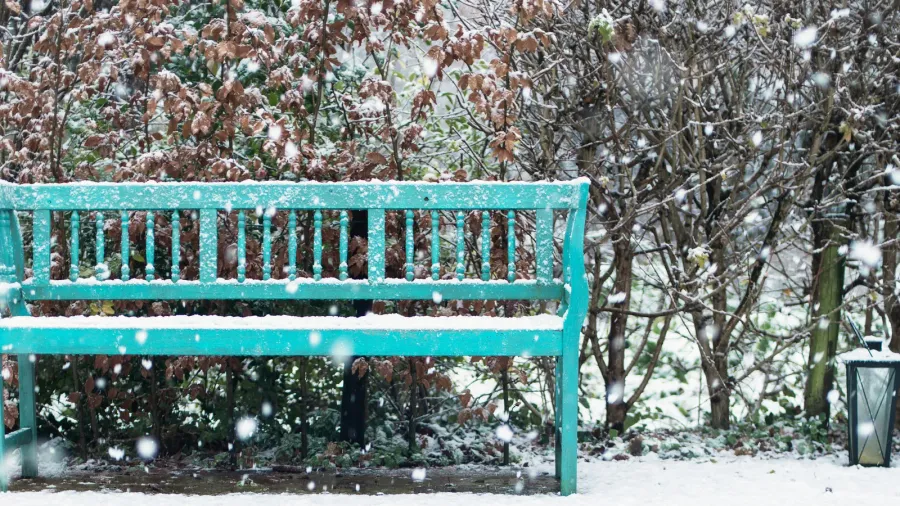 blue wooden bench and lantern