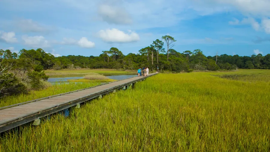 boardwalk with people and green grassy meadow in hunting island