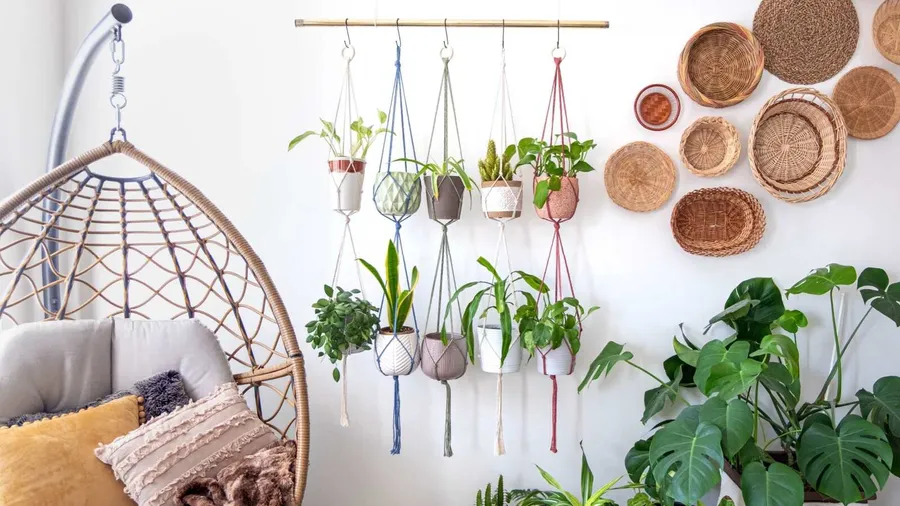 Hanging planters and woven baskets on a white wall with a wicker egg chair with cushions in front of it.