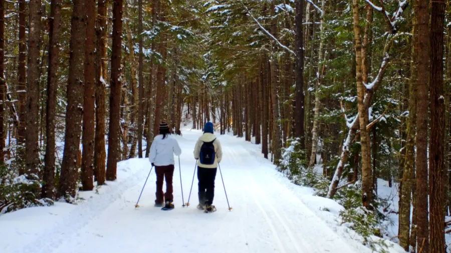 bretton woods new hampshire