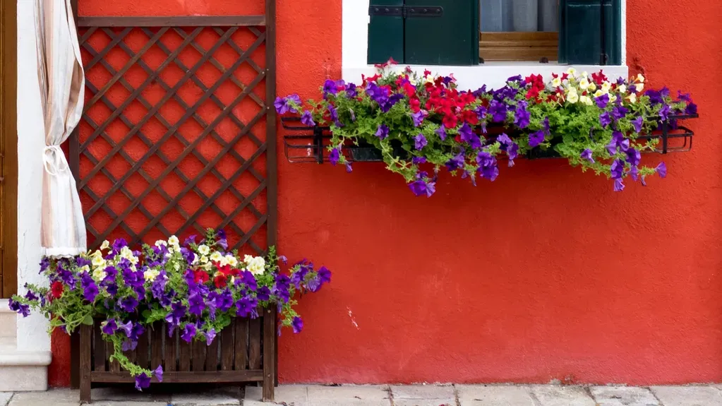 burano italy  21 may 2015 red painted building one