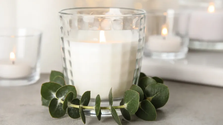 burning aromatic candle and eucalyptus branch on table