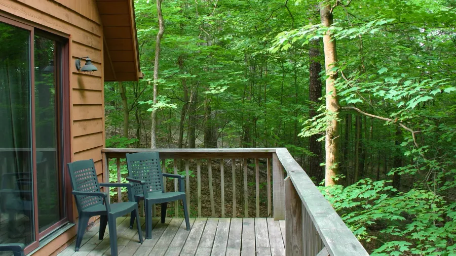 cabin relaxin