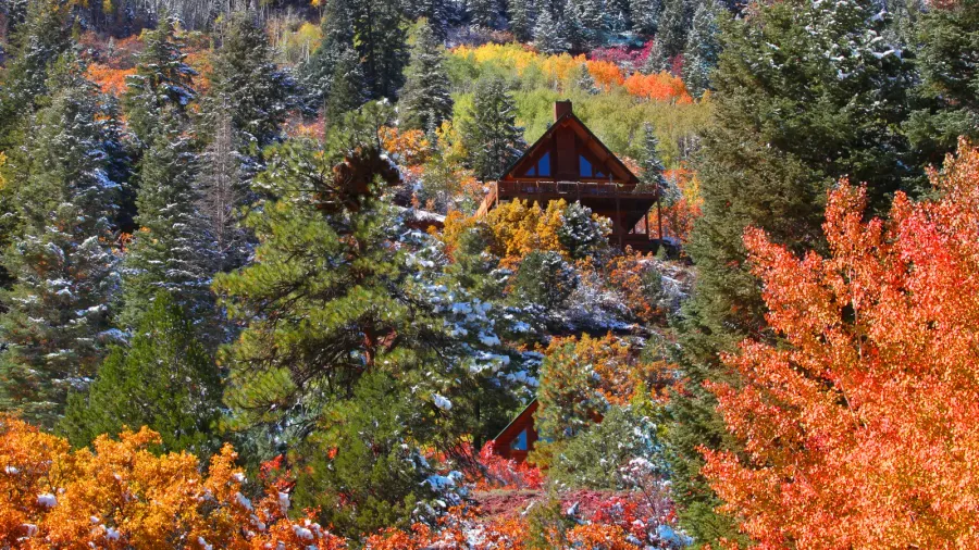 cabins on the hill