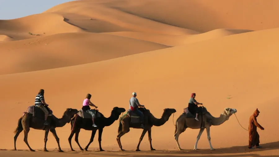 camel caravan in sahara desert