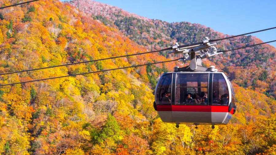 car in autumn mountain autumn trees