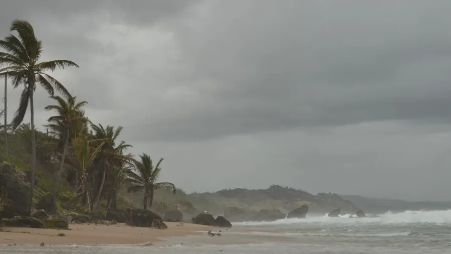 caribic caribbien coast hurricane storm wind beauty tropical storm high