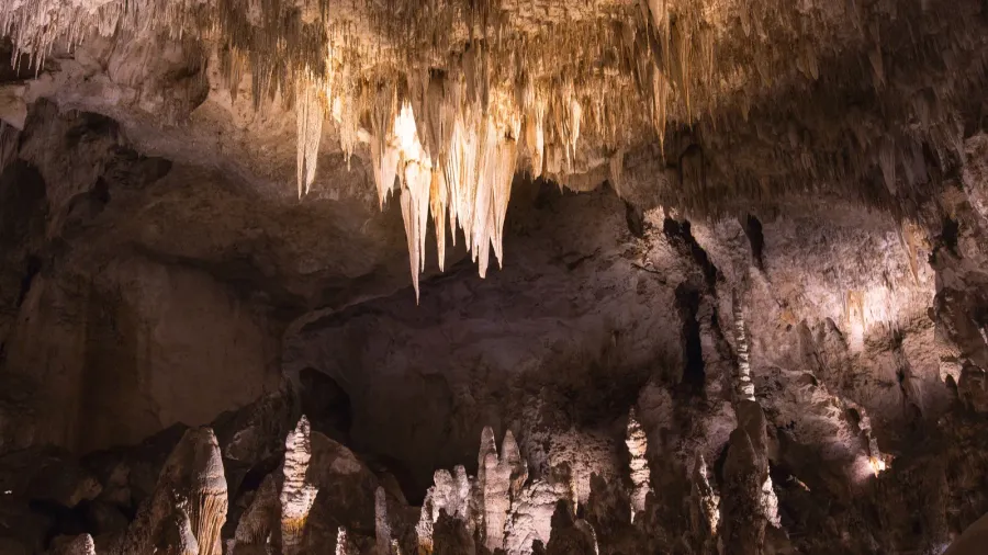 carlsbad caverns new mexico