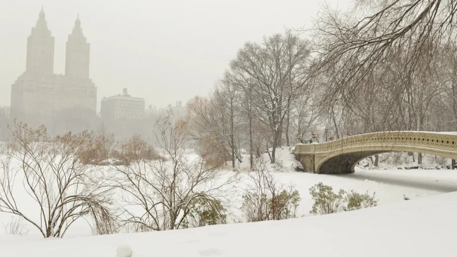 central park in the snow manhattan new york city