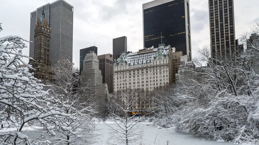 central park new york city winter