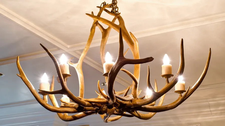 chandelier