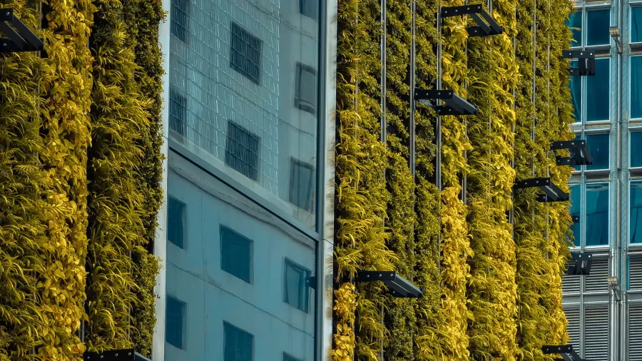 closeup view of a hong kong building featuring vibrant green