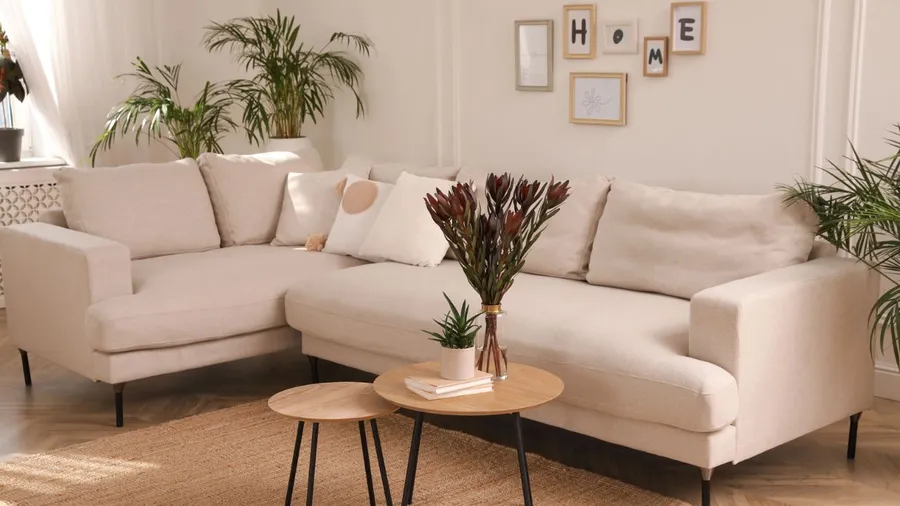 A light-colored sectional sofa with plants in a bright living room.