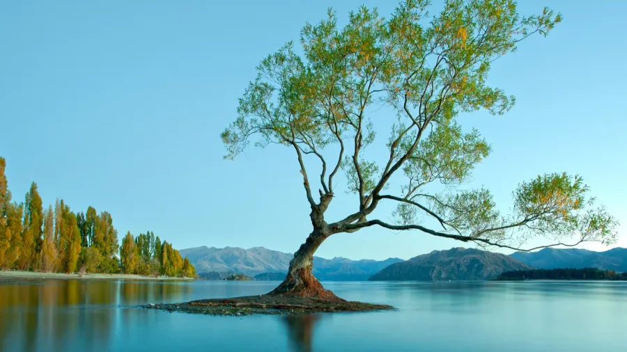 colourful lake wanaka new zealand